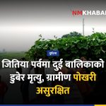 बारा बालिका मृत्यु, जितिया पर्व