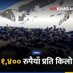 च्याङ्ग्रा मूल्य दशैं