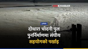 दोधारा चाँदनी पुल