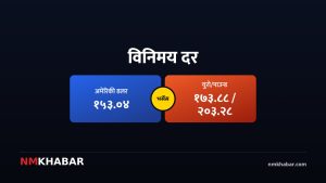 विदेशी विनिमयदर