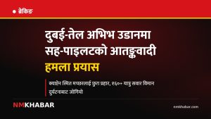 दुबई तेल अभिभ विमान दुर्घटना प्रयास