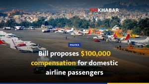 Bill proposes $100,000 compensation for domestic airline passengers
