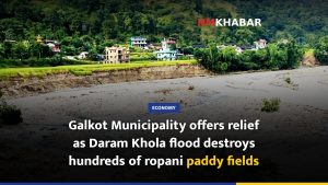 Galkot Municipality offers relief as Daram Khola flood destroys hundreds of ropani paddy fields