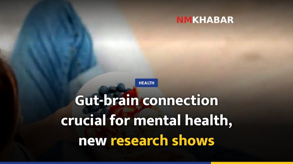 Gut-brain connection crucial for mental health, new research shows