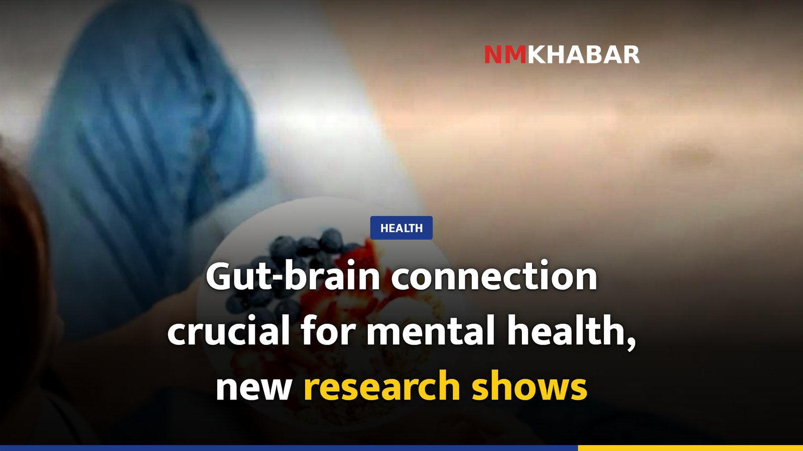 Gut-brain connection crucial for mental health, new research shows