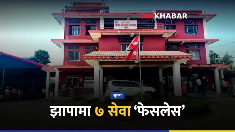 झापा फेसलेस सेवा