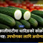 कालीमाटी विषादी काँक्रो