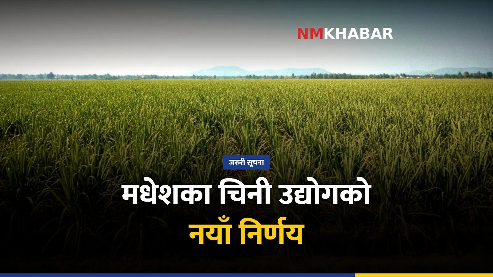 उखु खेती, चिनी उद्योग, मधेश किसान