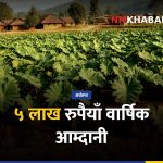हात्तीकाउली खेती, महोत्तरी किसान