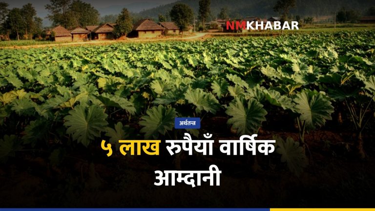 हात्तीकाउली खेती, महोत्तरी किसान