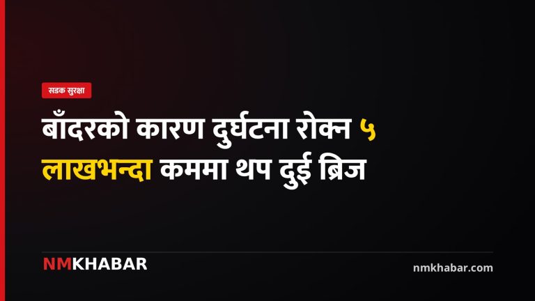नारायणघाट बुटवल सडक, क्यानोपी ब्रिज