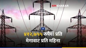विद्युत प्रसारण शुल्क, खुला पहुँच