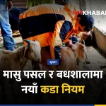 मासु जाँच नियमावली