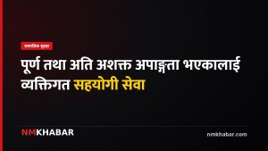 अपाङ्गता व्यक्तिगत सहयोगी