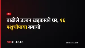 सानीभेरी बाढी, रुकुम पश्चिम