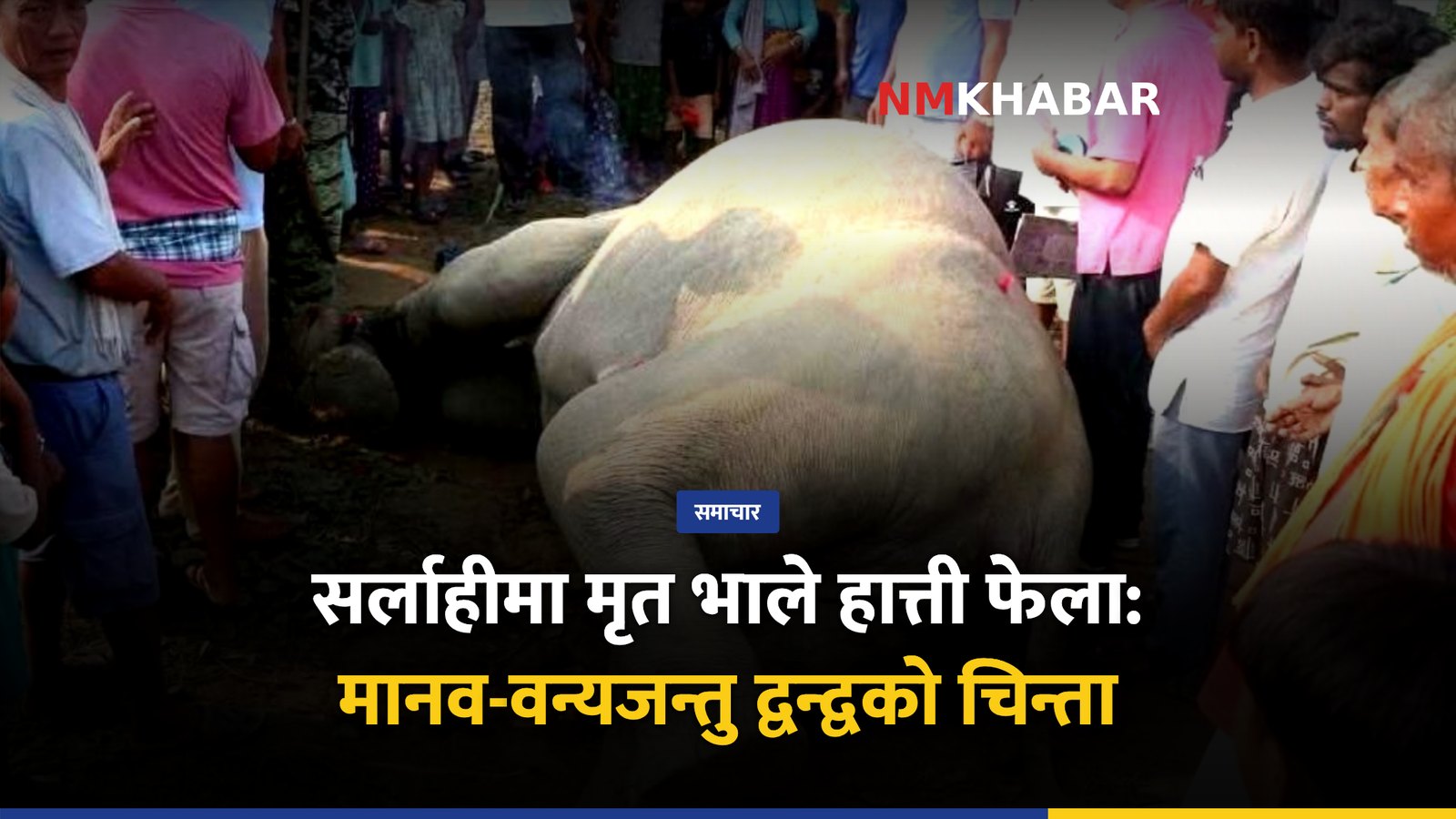 सर्लाही हात्ती मृत्यु